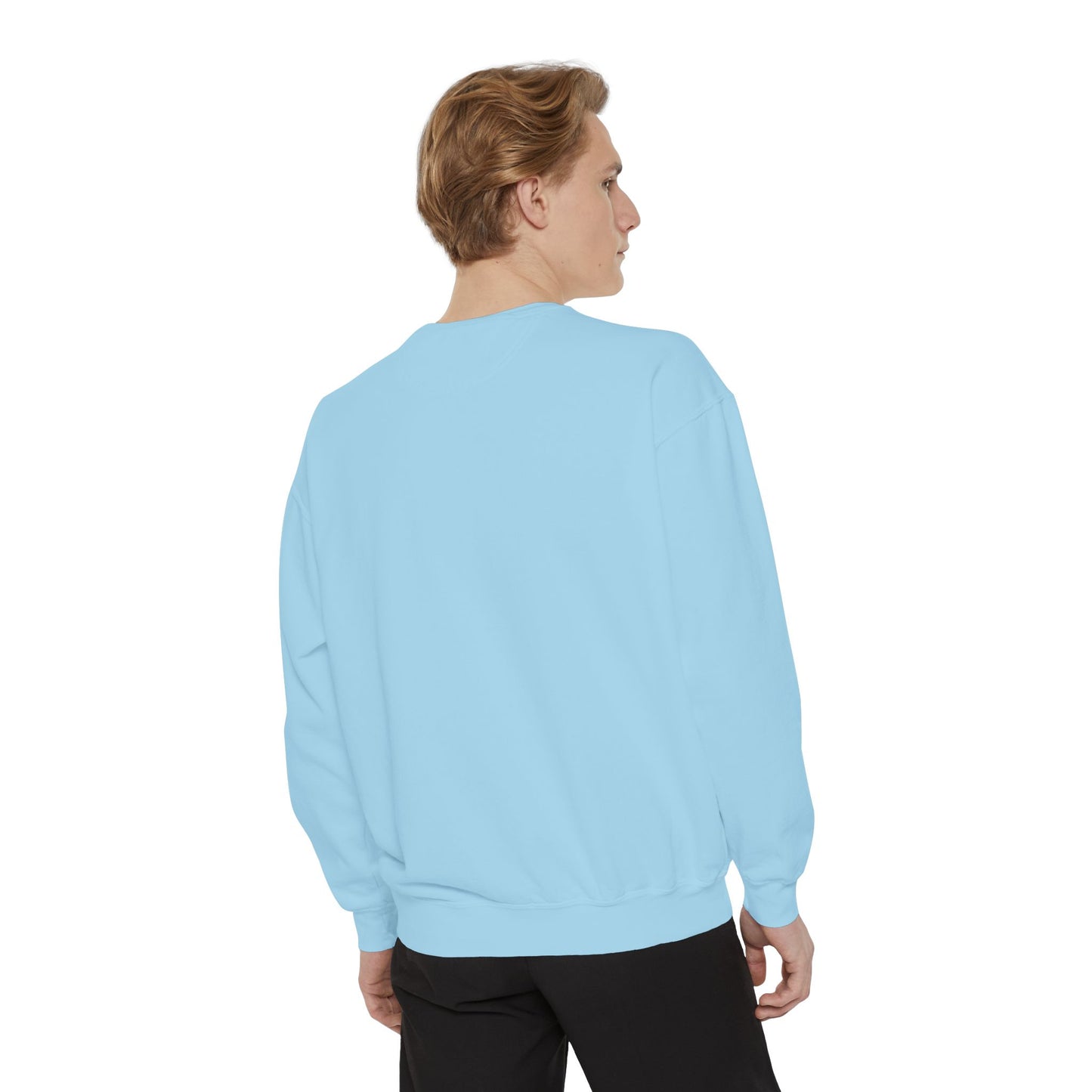 Literary Goose- Sweatshirt